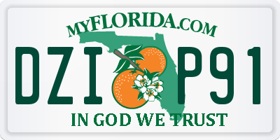 FL license plate DZIP91