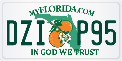 FL license plate DZIP95