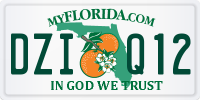 FL license plate DZIQ12