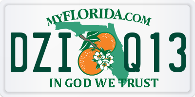 FL license plate DZIQ13