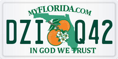 FL license plate DZIQ42