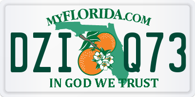 FL license plate DZIQ73