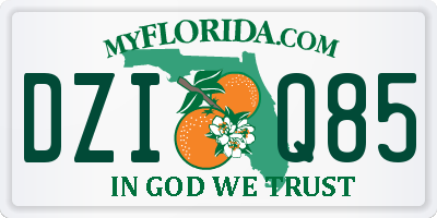 FL license plate DZIQ85
