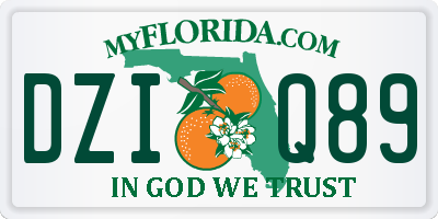 FL license plate DZIQ89