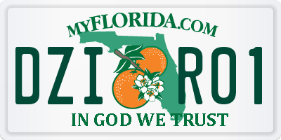 FL license plate DZIR01