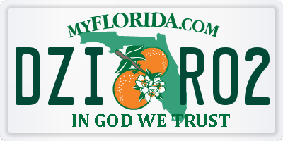 FL license plate DZIR02