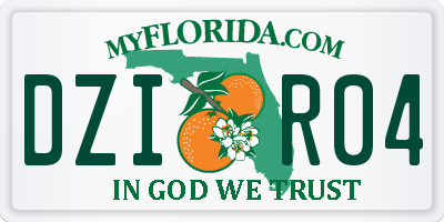 FL license plate DZIR04