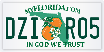 FL license plate DZIR05