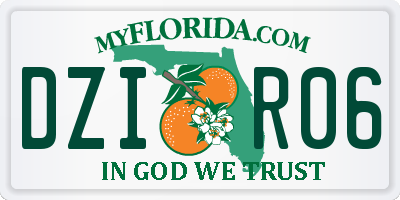 FL license plate DZIR06