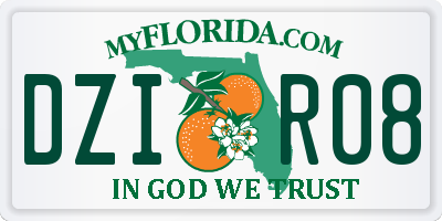 FL license plate DZIR08
