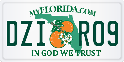 FL license plate DZIR09
