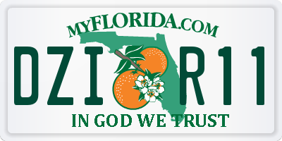 FL license plate DZIR11