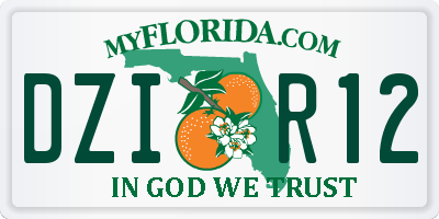 FL license plate DZIR12