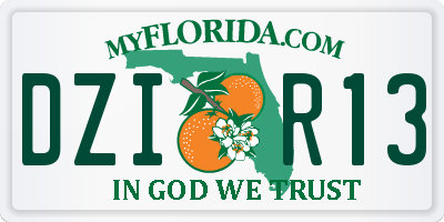 FL license plate DZIR13