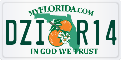 FL license plate DZIR14