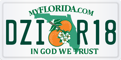 FL license plate DZIR18