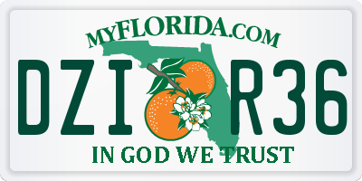 FL license plate DZIR36