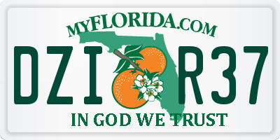 FL license plate DZIR37