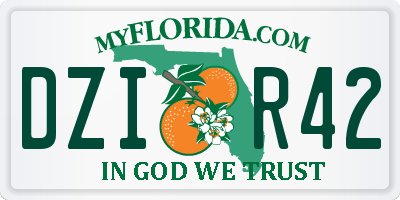 FL license plate DZIR42