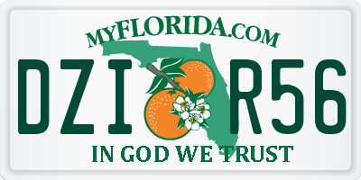 FL license plate DZIR56