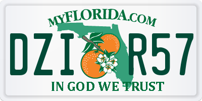 FL license plate DZIR57