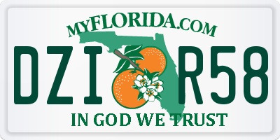 FL license plate DZIR58