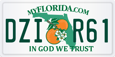 FL license plate DZIR61