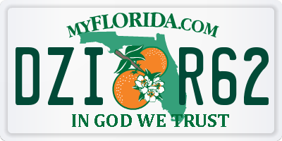 FL license plate DZIR62
