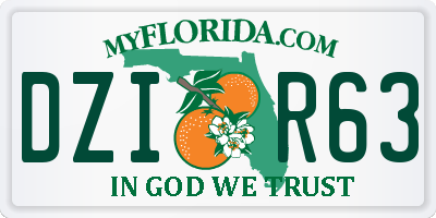 FL license plate DZIR63