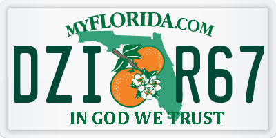 FL license plate DZIR67