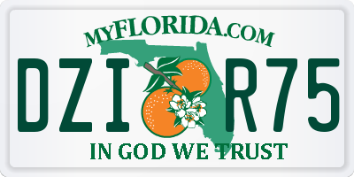 FL license plate DZIR75