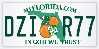 FL license plate DZIR77