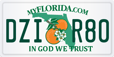 FL license plate DZIR80
