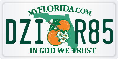 FL license plate DZIR85