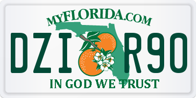 FL license plate DZIR90