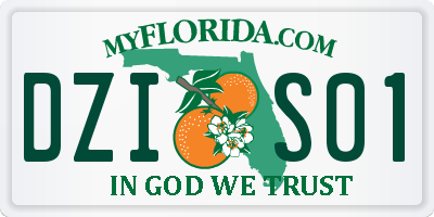 FL license plate DZIS01
