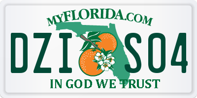 FL license plate DZIS04
