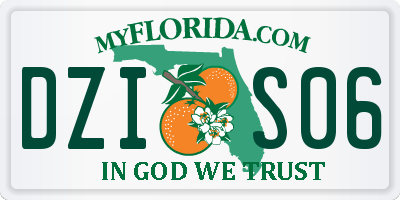 FL license plate DZIS06