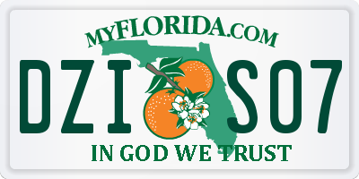 FL license plate DZIS07