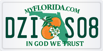 FL license plate DZIS08