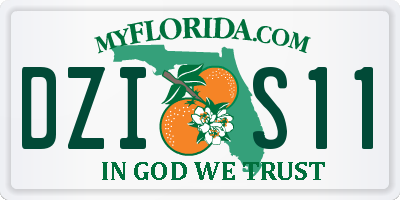 FL license plate DZIS11