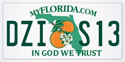 FL license plate DZIS13