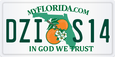 FL license plate DZIS14