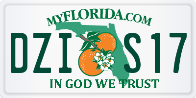 FL license plate DZIS17