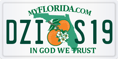 FL license plate DZIS19