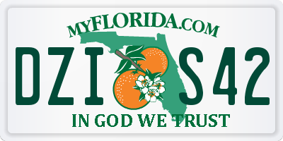 FL license plate DZIS42