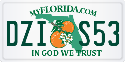 FL license plate DZIS53