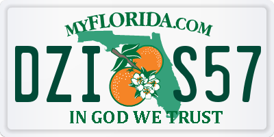FL license plate DZIS57