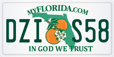 FL license plate DZIS58
