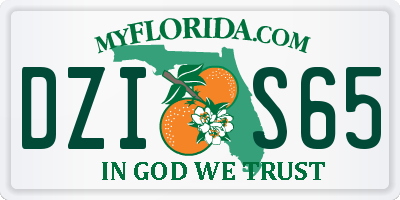 FL license plate DZIS65